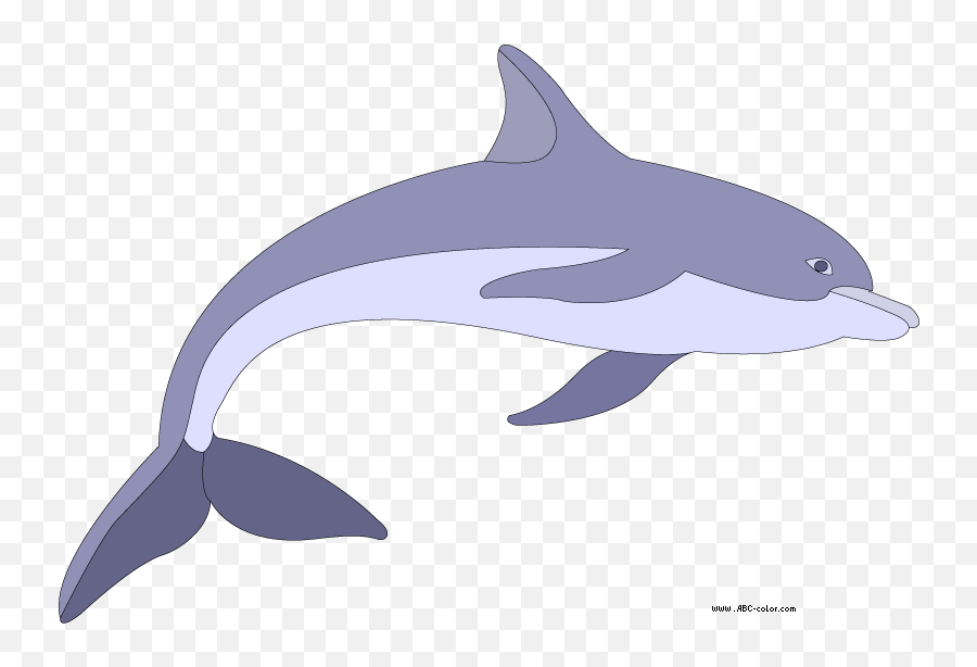 Clipart Dolphin Transparent Background - Portable Network Graphics Png,Dolphin Transparent Background