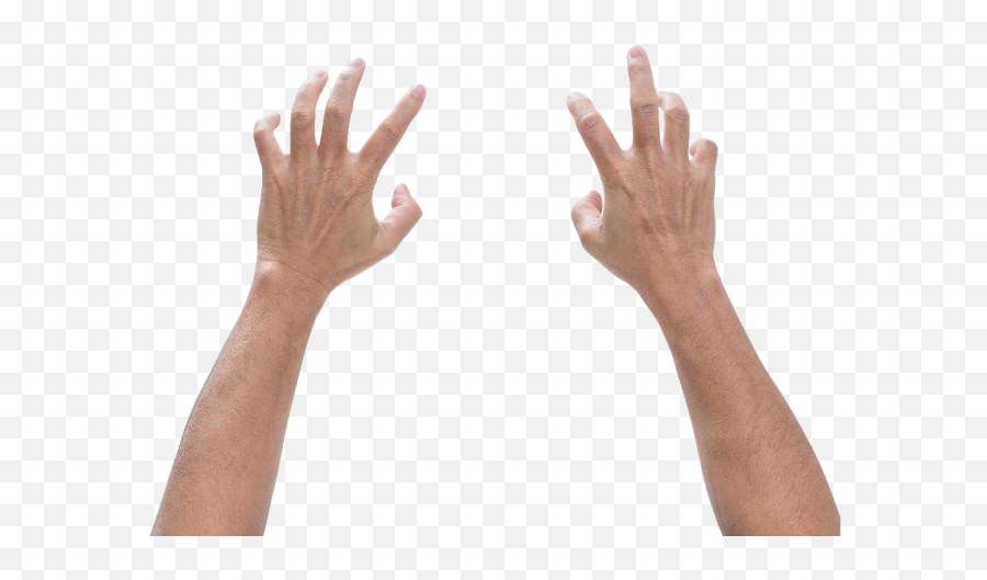 Download Arms And Hands Png Picture Library Stock Image - Hands And Arms Png,Hands Png