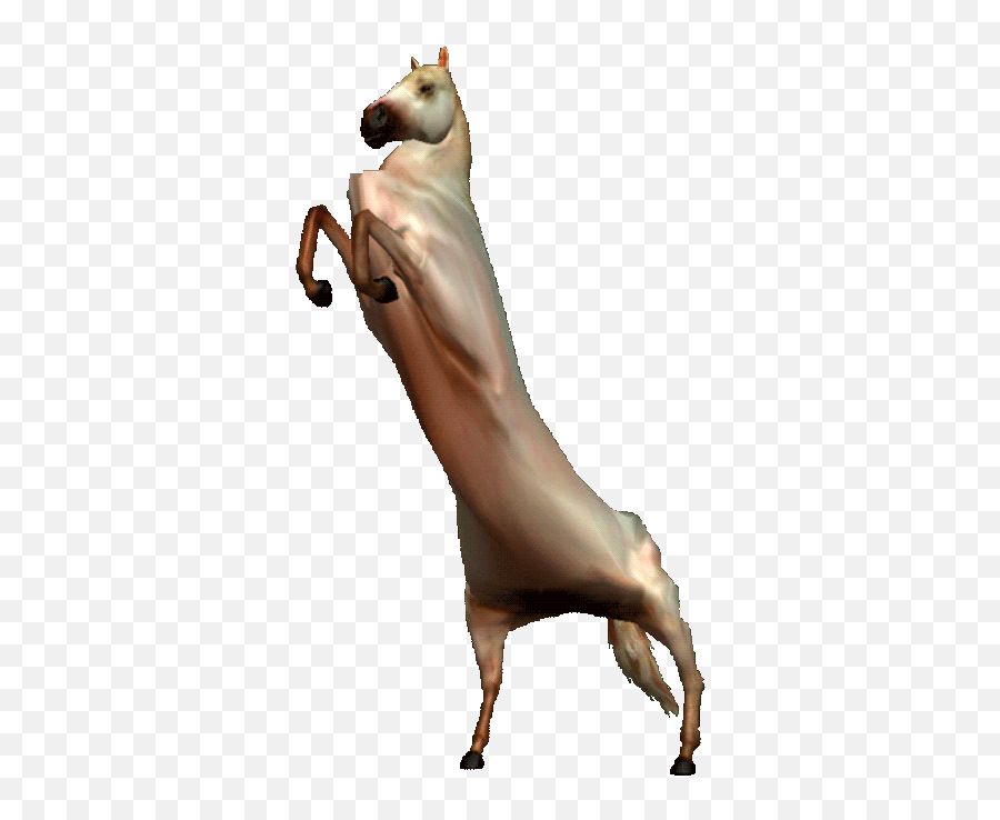Dancing Dog Meme Gif Transparent Pics - Animal Figure Png,Dancing Cat Gif Transparent