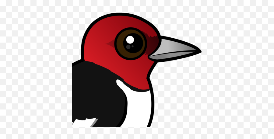 Vector Royalty Free Stock Png Files - Red Headed Woodpecker Cartoon,Woodpecker Png