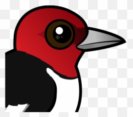 Vector Royalty Free Stock Png Files - Red Headed Woodpecker Cartoon,Woodpecker Png