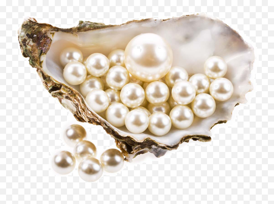 Sri Bansilal Baseshwarlal Pearls U0026 Jewellers - Transparent Background Pearls Png,String Of Pearls Png