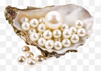Sri Bansilal Baseshwarlal Pearls U0026 Jewellers - Transparent Background Png