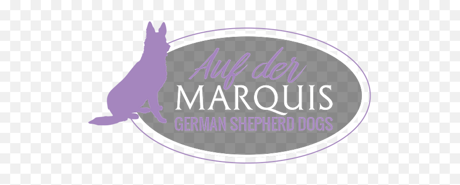 Welcome To Auf Der Marquis German Shepherd Dogs - Comision Nacional Forestal Png,German Shepherd Transparent