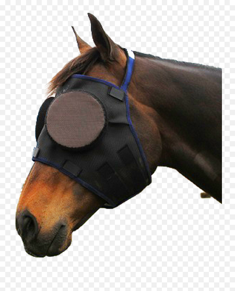 Guardian Masks Accessories - Horse Eye Protection Mask Png,Horse Mask Png