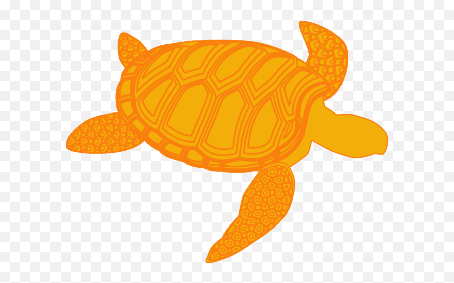 Sea Turtle Clipart Olive Ridley - Gambar Kartun Kura Kura Silhouette Sea Turtle Clipart Png,Ridley Png