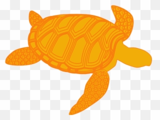 Sea Turtle Clipart Olive Ridley - Gambar Kartun Kura Kura Silhouette Sea Turtle Clipart Png,Ridley Png