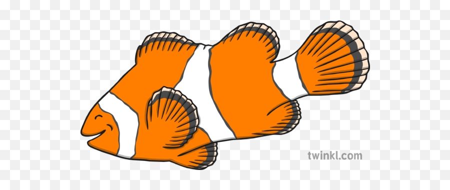 Twinkl Teaching Wiki - Twinkl Clown Fish Png,Clownfish Icon