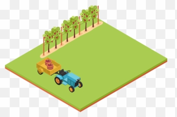 The Vineyard Management System U2013 Evineyard - Lawn png