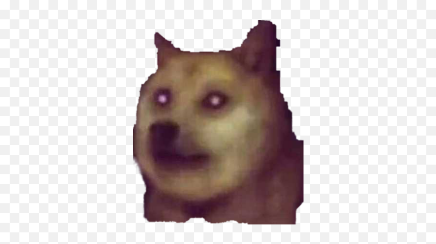 Cursed Dogs Png For Anyone That Wants It Dogelore - Dog,Dogs Png