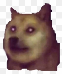 Dog Fallout 3 Wiki Fandom - Dogmeat Fallout 3 png - free transparent png  image - pngaaa.com