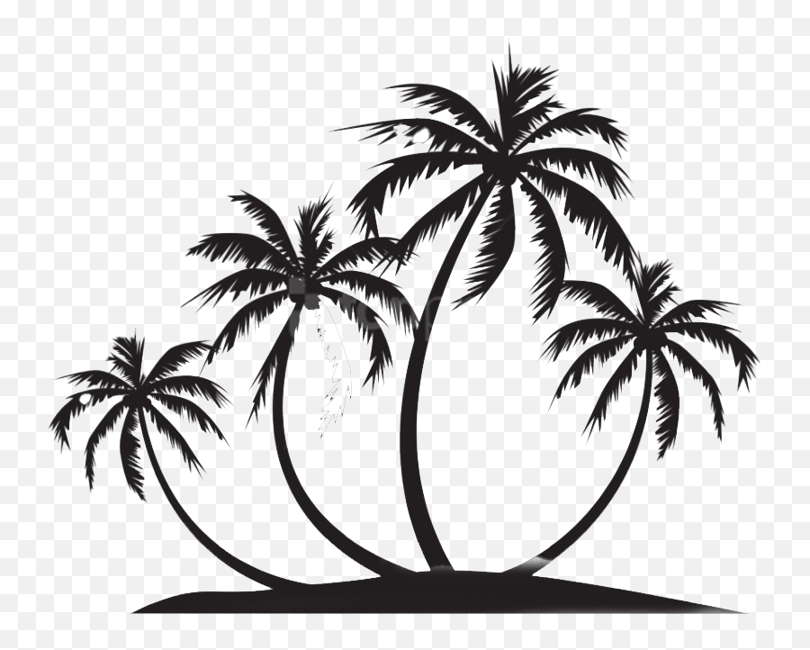 Silhouette Coconut Tree Png Image - Coconut Tree Black Png,Black Tree Png