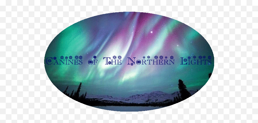 User Blogseawings4lifethe Canines Of The Northern Lights Png Dancing Dog Icon F2u