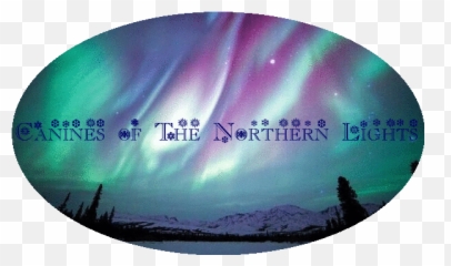 User Blogseawings4lifethe Canines Of Northern Lights Png