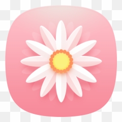 Sweet Delicious Beautiful Ui Icon Pack U2013 Apps Bei Google Play - Loom png