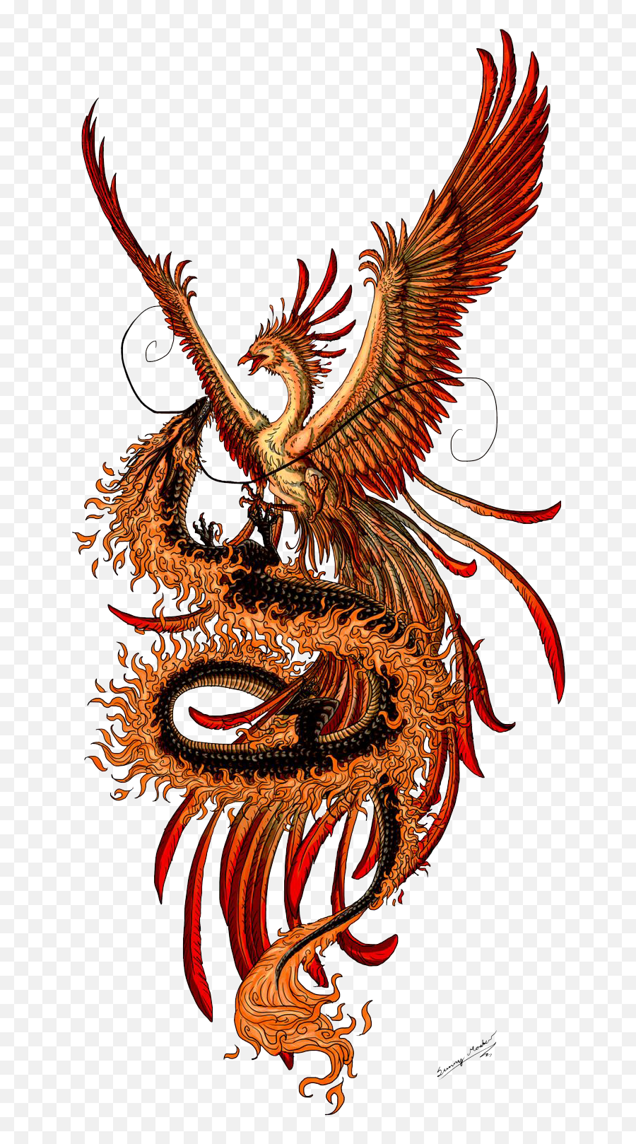 Download Free Phoenix Tattoos Picture Icon Favicon Freepngimg - Phoenix And Dragon Tattoo Png,Apocalypse Icon