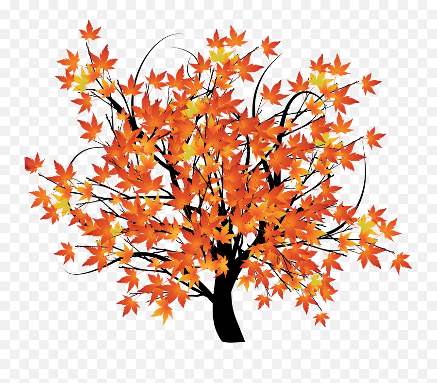 An Autumn Background Scene With Trees - Autumn Tree Transparent Background Png,Fall Trees Png