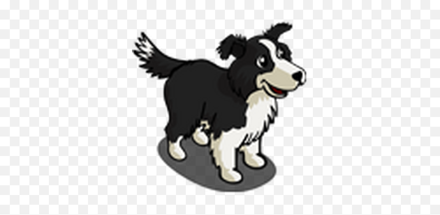 Border Collie Farmville Wiki Fandom - Dog Png,Icon Border Collies