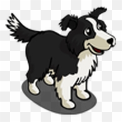Border Collie Farmville Wiki Fandom - Dog png