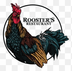 Ali Jones - Derby Chicken Logo Png,Rooster Logo
