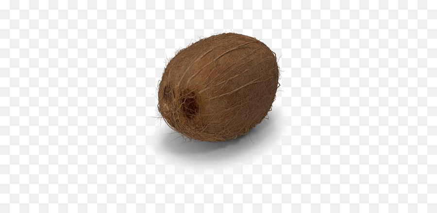 Coconut Png Image Hd - Wood,Coconut Png
