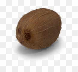 Coconut Png Image Hd - Wood,Coconut Png