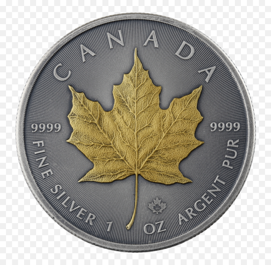 Canada 2019 - Maple Leaf Ag999 1oz Antique Gold Kurowski Coin Png,Canada Leaf Png