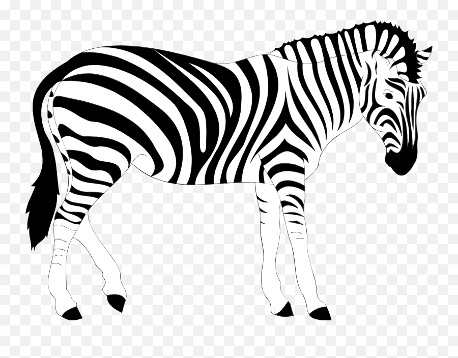 Zebra Png Safari Desenho Free Download - Free Zebra Clipart,Realistic Eye Png