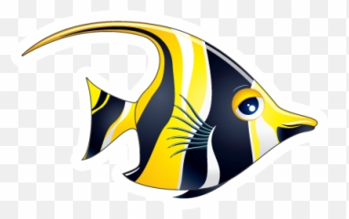 Logan Paul - Coral Reef Fish png