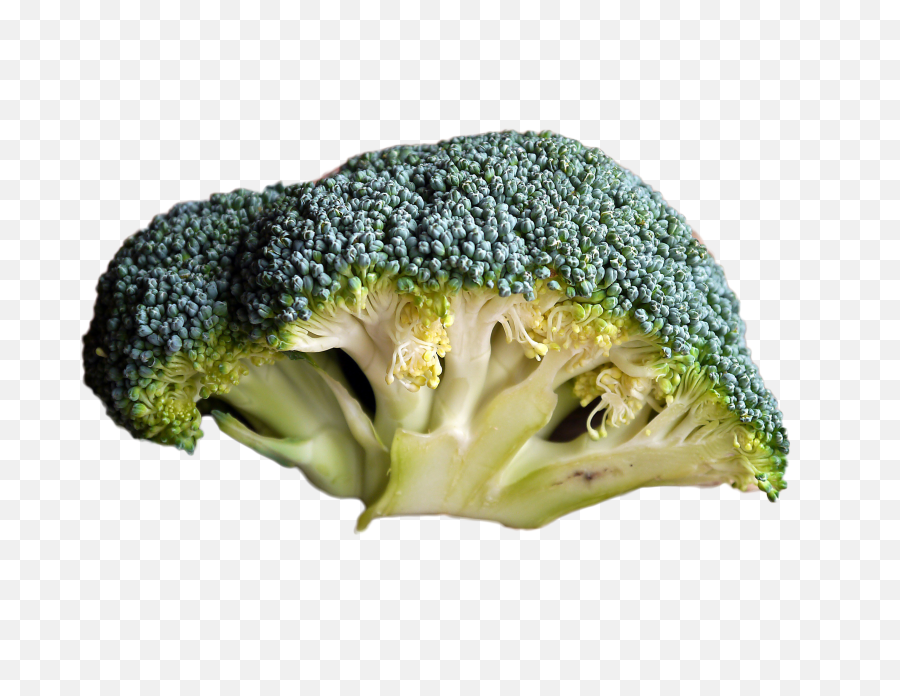 Broccoli Png Image - Purepng Free Transparent Cc0 Png Broku Stary,Broccoli Transparent