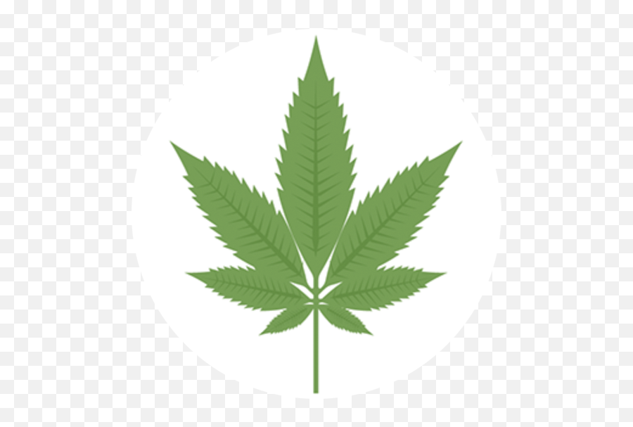 Download Indica - Marijuana Leaf Full Size Png Image Pngkit Pot Leaf,Marijuana Leaf Png