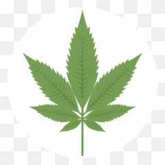 Download Indica - Marijuana Leaf Full Size PNG Image PNGkit Pot