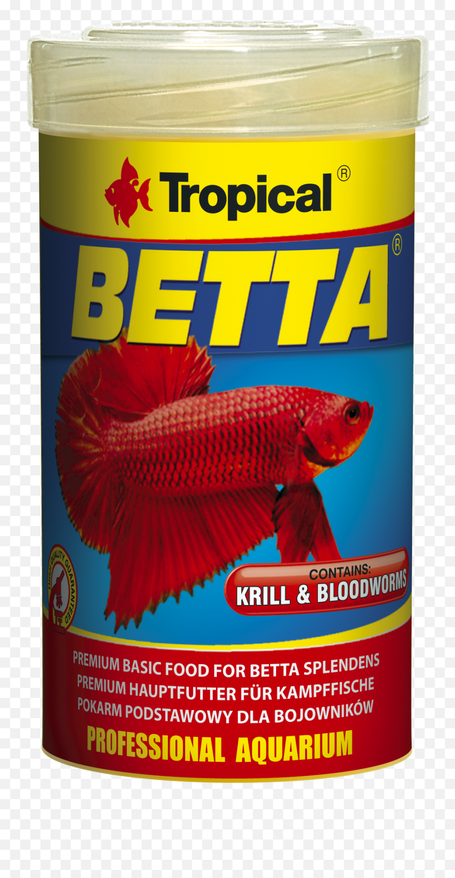 Betta - Coral Reef Fish Png,Betta Fish Png