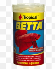 Betta - Coral Reef Fish Png,Betta Fish Png