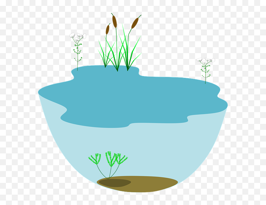 Lake Ecosystem Ecosystems Water - Ecosystems Transparent Png,Ecosystem Png