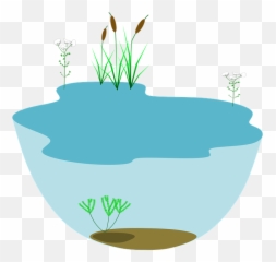 Lake Ecosystem Ecosystems Water - Ecosystems Transparent Png,Ecosystem Png