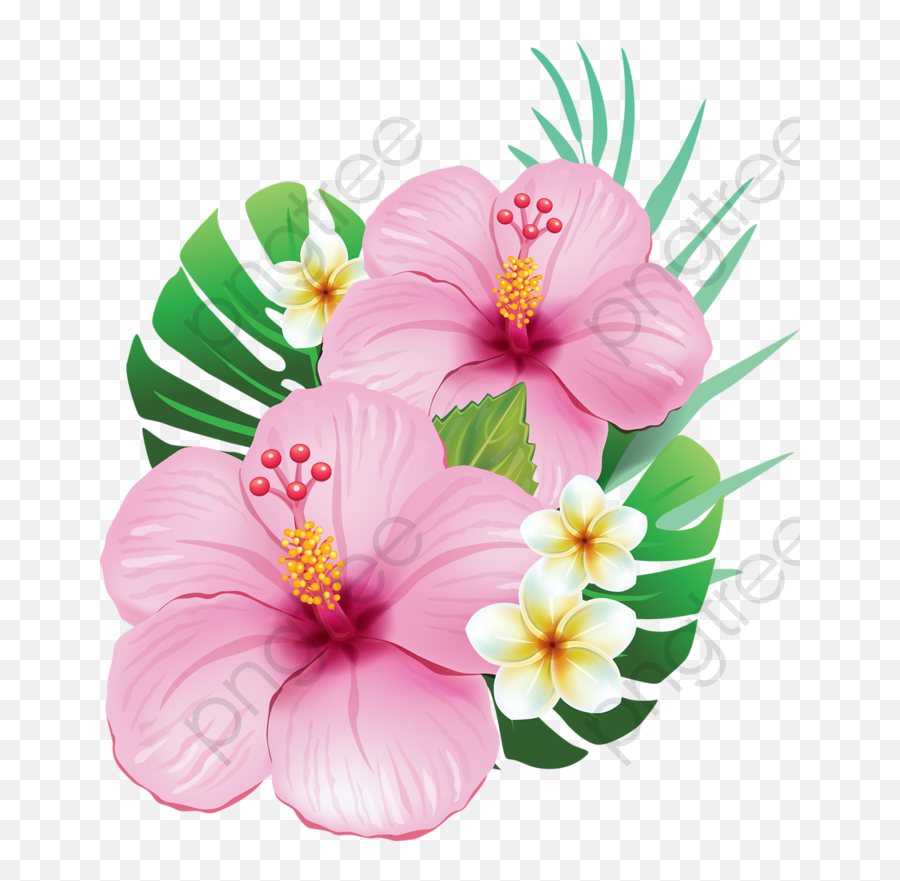 Hibiscus Flower Clipart Realistic - Tropical Flowers Png,Hibiscus Flower Png