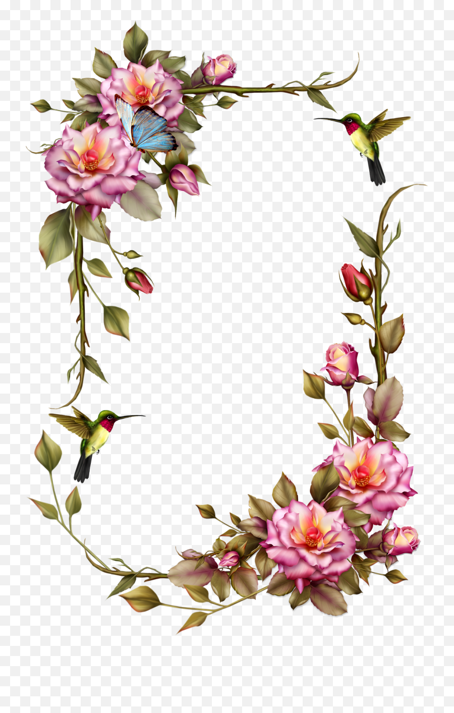Roses Frame With Humming Bird - Flower Frame Png,Roses Transparent Background