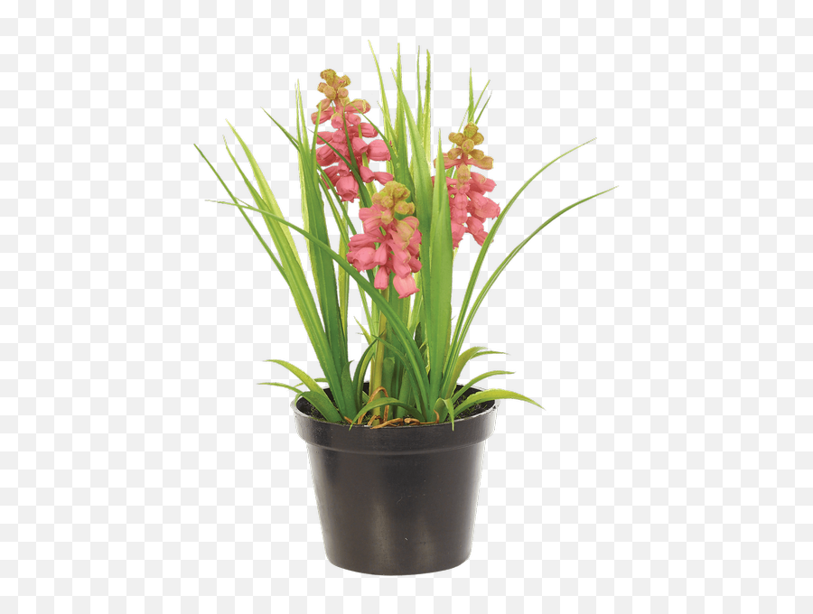 Download Hd Hyacinth Bush In Planter Purple - Artificial Artificial Flower Png,Flower Bush Png