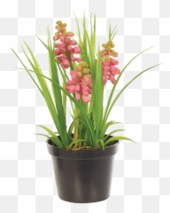 Download Hd Hyacinth Bush In Planter Purple - Artificial Flower png