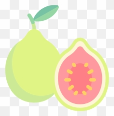 Guava - Expat In Croatia Clip Art Png,Guava Png