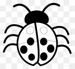 Black And White Bug Coloring Pages Free Png Printable - Bug Clipart Black And White,Bug Png
