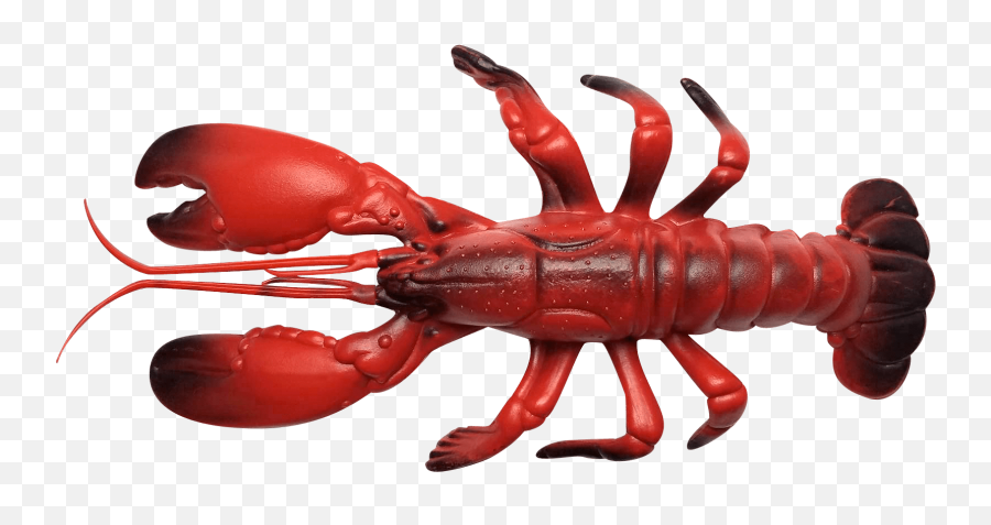 Download Hd Olhzn Space Lobster - Lobster Transparent Png American Lobster,Lobster Png