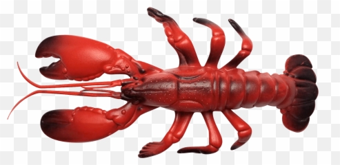 Download Hd Olhzn Space Lobster - Lobster Transparent Png American Lobster,Lobster Png