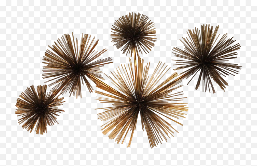 Curtis Jere Wall Sea Urchin Sculpture - Horizontal Png,Sea Urchin Png