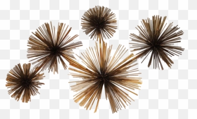 Curtis Jere Wall Sea Urchin Sculpture - Horizontal Png,Sea Urchin Png