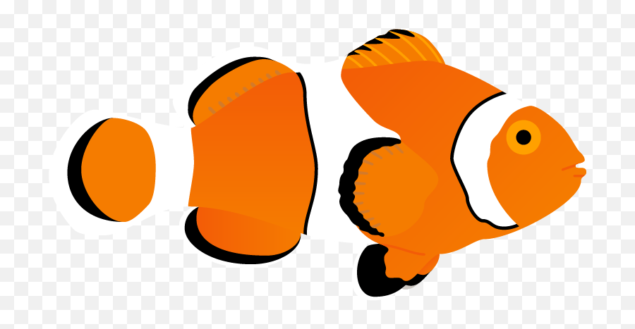 The Cool Club Clownfish Poster - Dot Png,Clownfish Png