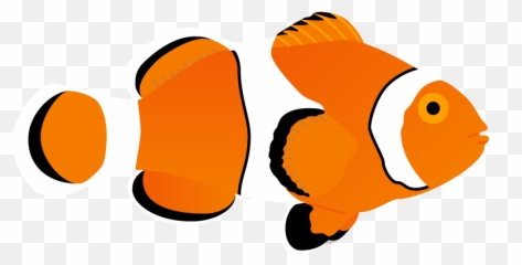 The Cool Club Clownfish Poster - Dot Png,Clownfish Png