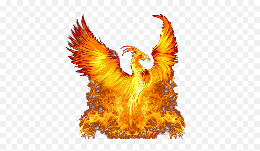 The Golden Phoenix Chess Club Chesscom Transparent Phoenix Bird Png Phoenix Png Free Transparent Png Images Pngaaa Com