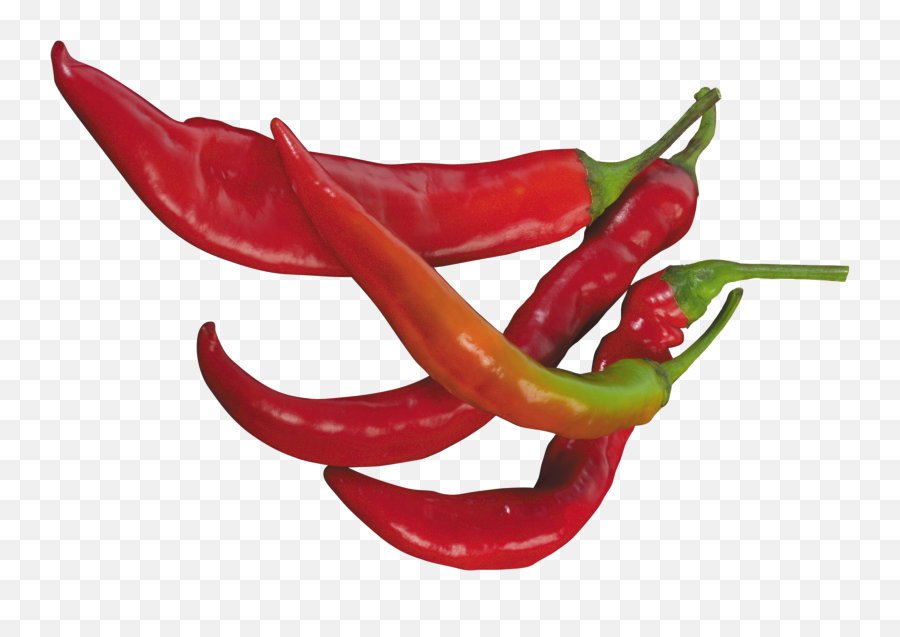 Red Chilli Pepper Transparent Png - Transparent Png Chilli Png,Red Pepper Png